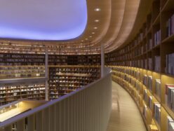 books, shelves, book store-5433432.jpg